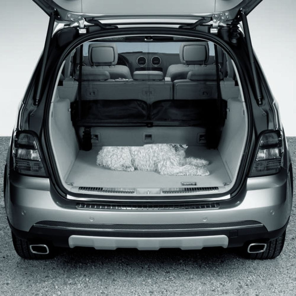 siatka-oddzielająca-za-drugim-siedzeń-B67650101