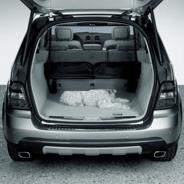 SIATKA ODDZIELAJĄCA, ZA DRUGIM RZĘDEM SIEDZEŃ M-GLE W163