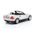 model-mercedes-benz-slk-srebrny