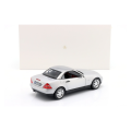 model-mercedes-benz-slk-srebrny