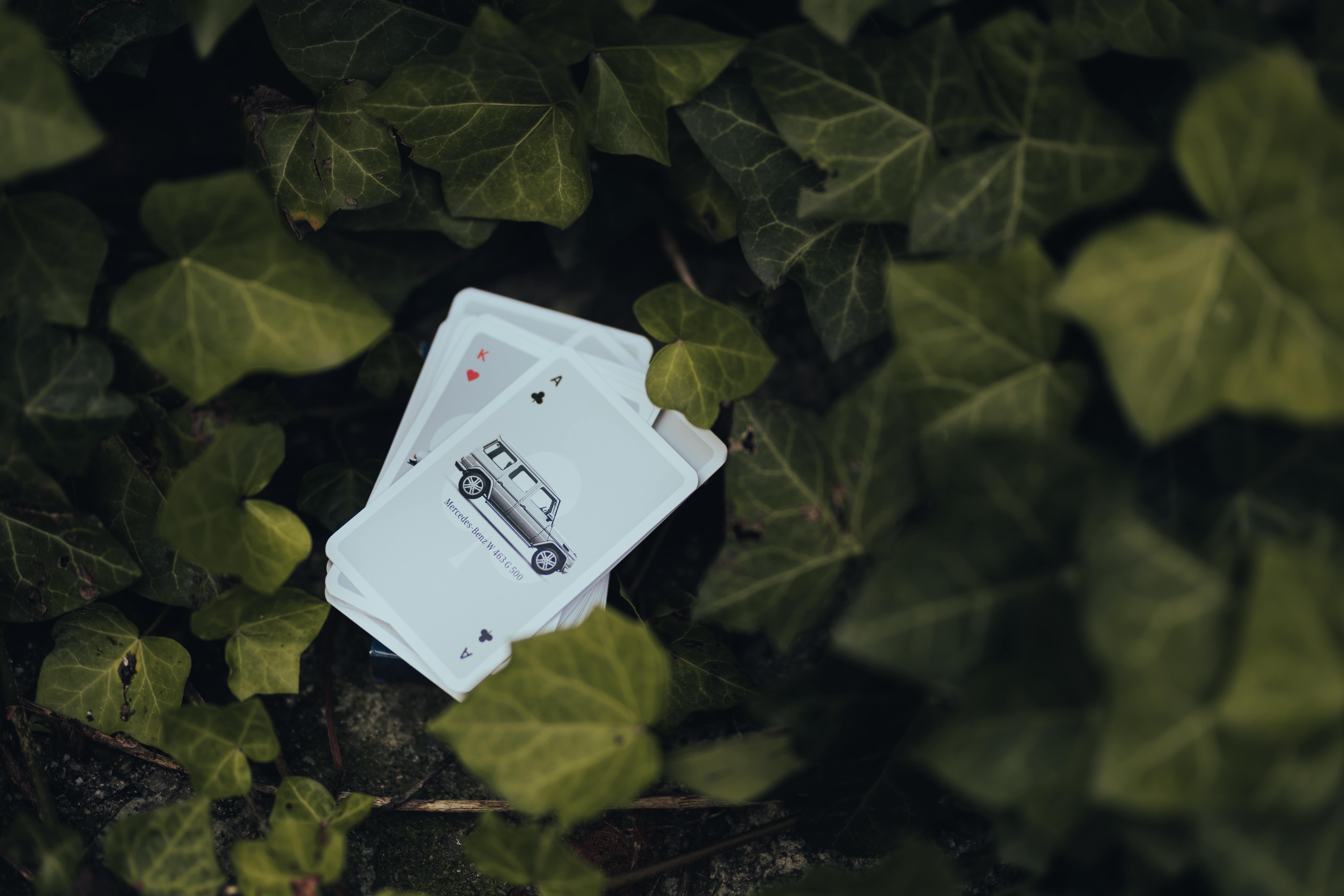 karty do gry mercedes-benz duda-cars